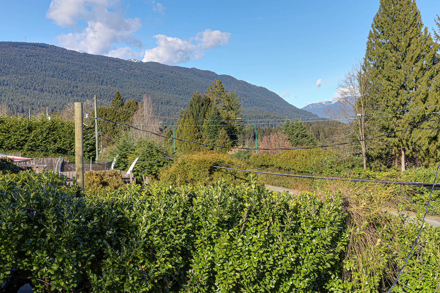 Image 59